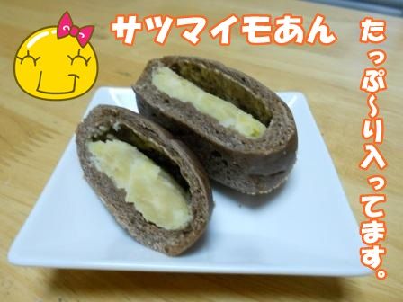 DSCN0029