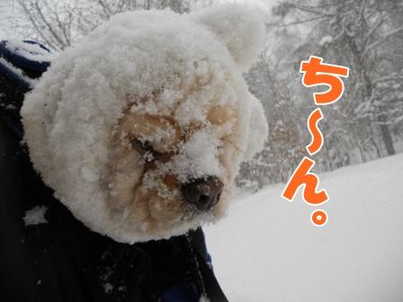 DSCN0043