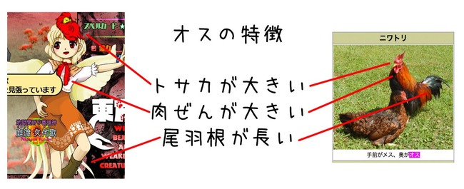 1602807511857