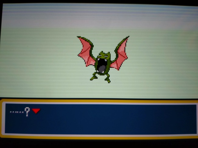 1772853439614