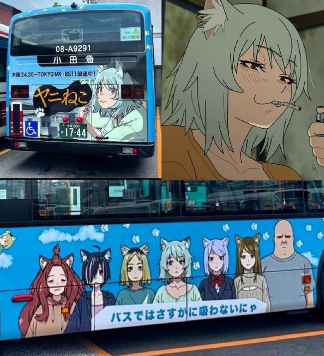 1785211382537