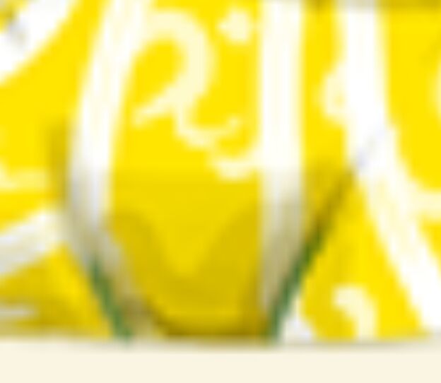 1741849978221