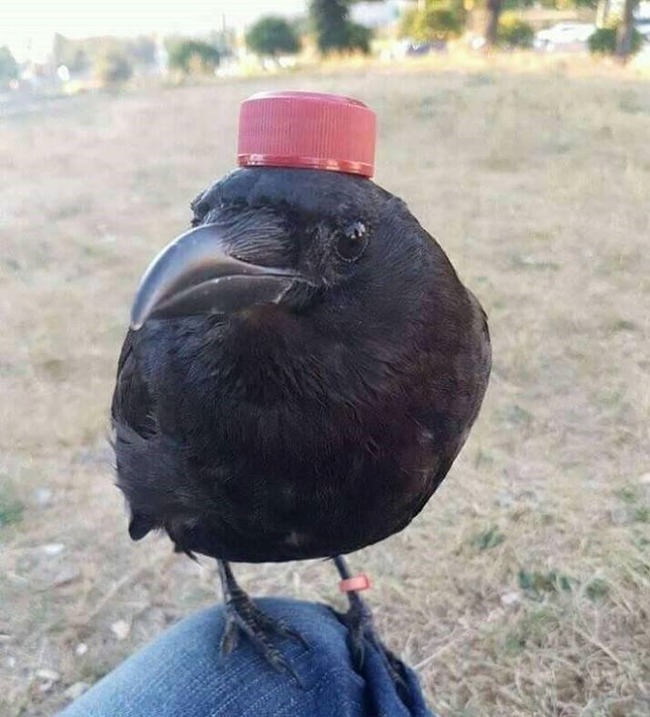1574084387365