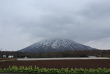 雨の羊蹄山