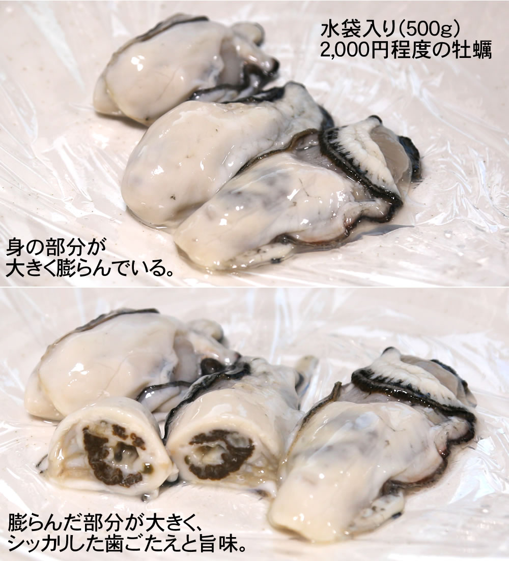 タナカ S W M29と生牡蠣 コレクターマニアのblog タナカ S W M29と生牡蠣 コレクターマニアのblog