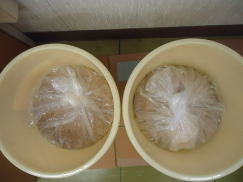 DSC07016