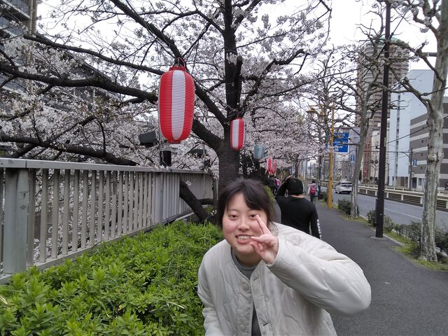 関崎さんお花見