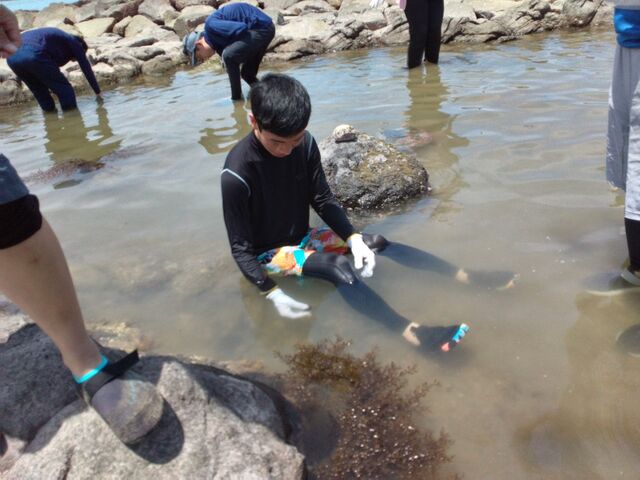 Photo_24-06-08-15-29-46.333