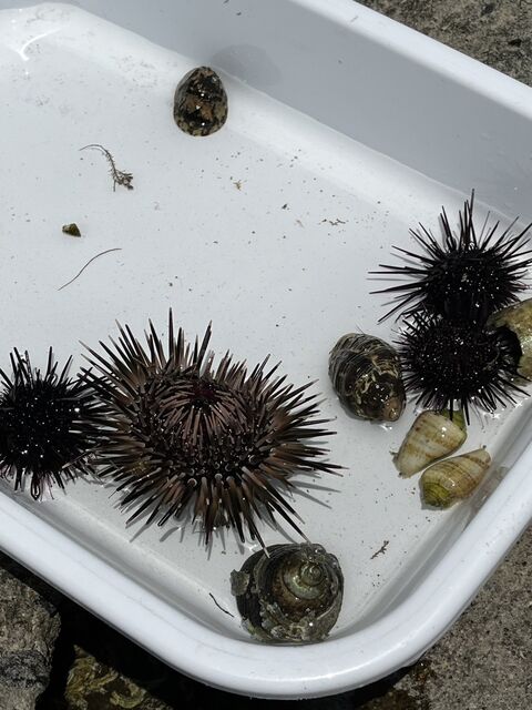 Photo_24-06-09-18-57-12.157