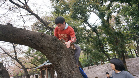 DSC04191