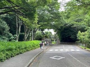image1 (1)