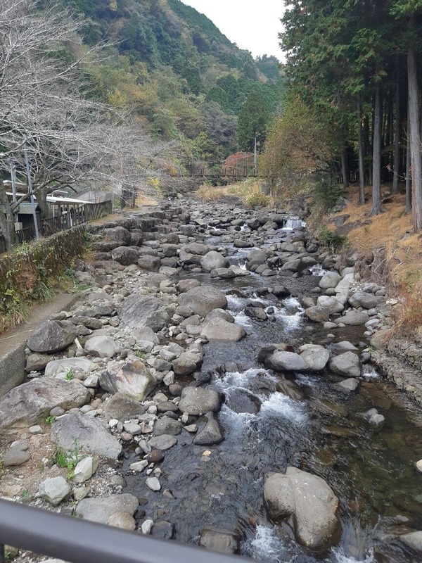 20221113_125629_copy_864x1152