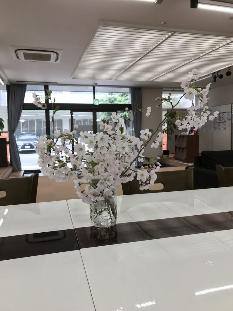 福岡 卒業式 入学式 福祉型カレッジ ゆたかカレッジ の日々