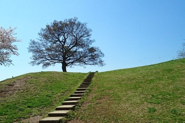 63dc5dbdf5d9d8fb576c8610296f6e17_medium