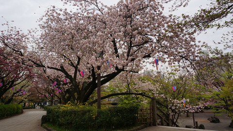 DSC04165