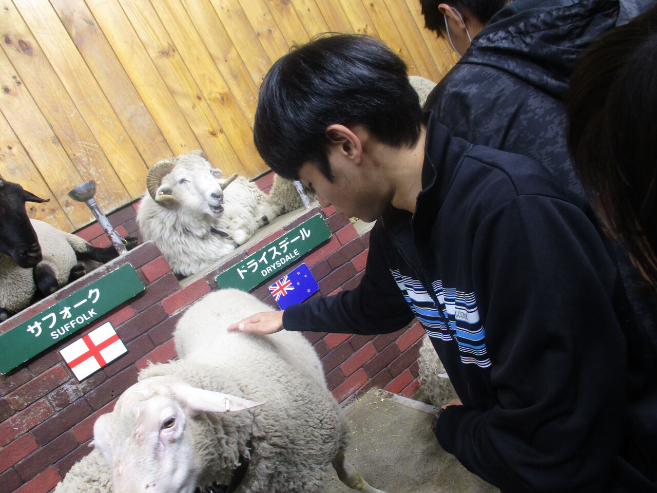 高田馬場 バス旅行 In 千葉 福祉型カレッジ ゆたかカレッジ の日々 高田馬場 バス旅行 In 千葉 福祉型カレッジ ゆたかカレッジ の日々