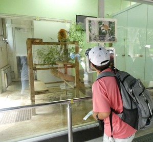 P1000376