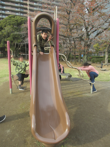 mosaic_20241210092724 (2)