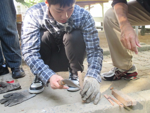 2c5b1e87.jpg