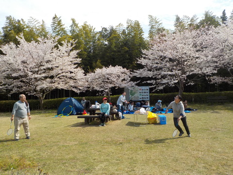 DSCN9114