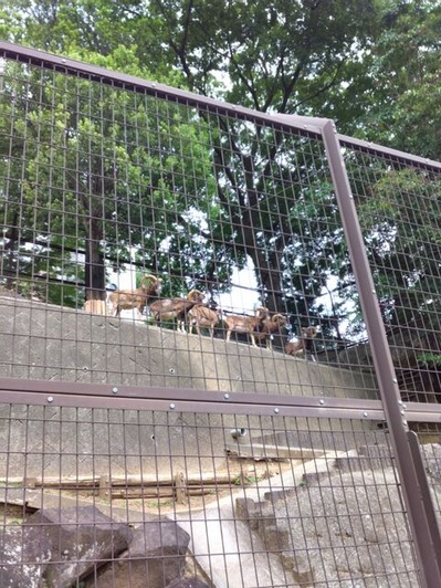 Photo_24-06-07-17-02-01.641