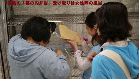 1eae6f00.jpg