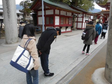 DSCN8890
