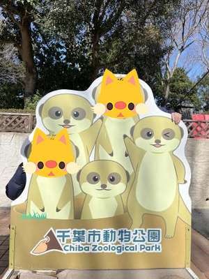 so652WQ9vF7DGVX1741336007_1741336032
