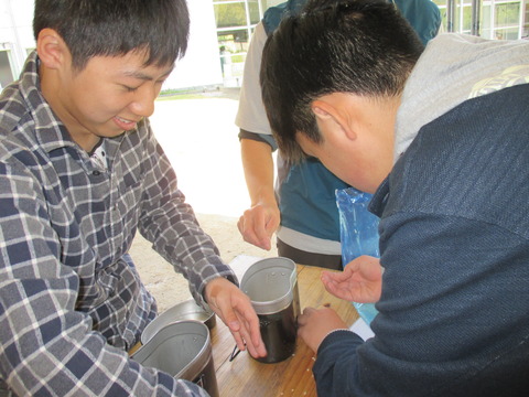 11a0fd97.jpg