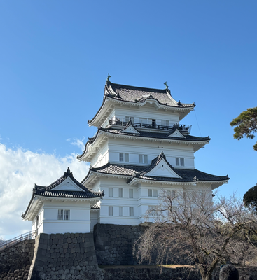 小田原城IMG_6309