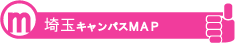 アクセス(埼玉)