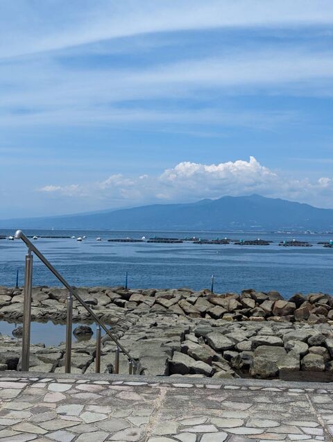 Photo_24-06-08-15-18-43.864