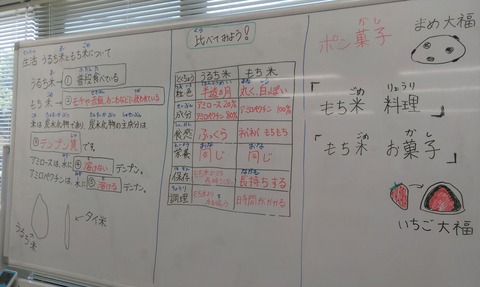 KIMG0406 (2)