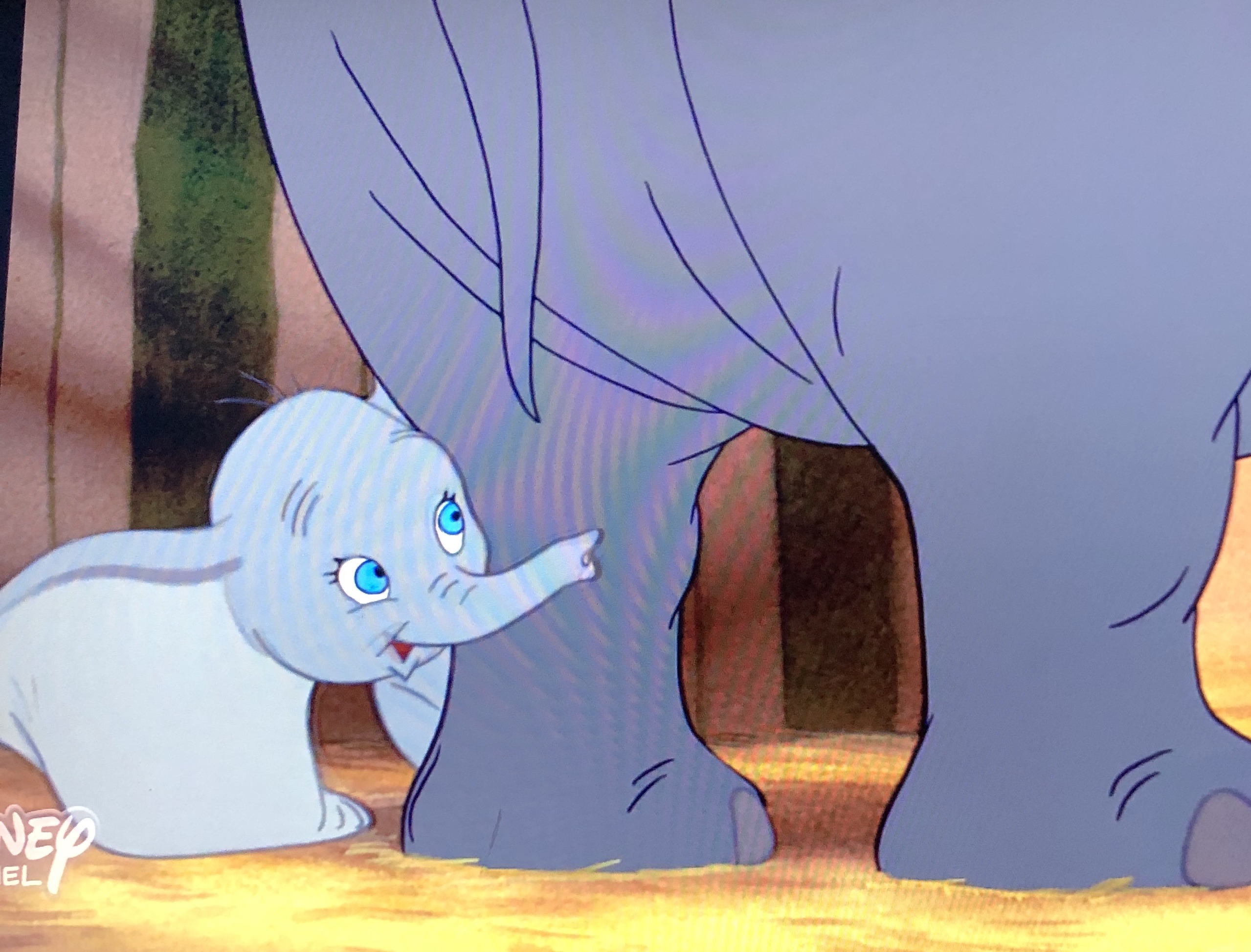 ダンボ 落書き宝庫