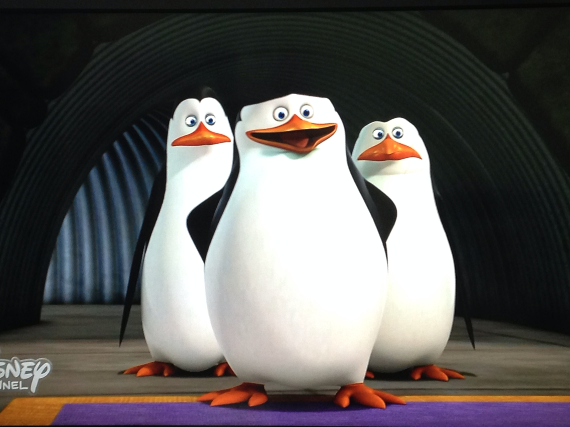 ペンギンズ 壁紙 無料ダウンロードhd壁紙画像 ペンギンズ 壁紙 無料ダウンロードhd壁紙画像