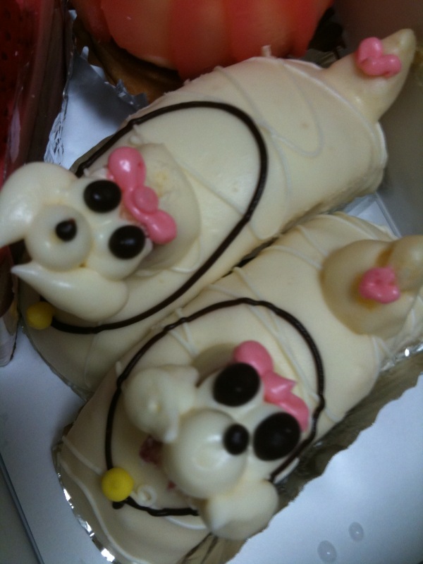 プードルケーキ Tokyo Days