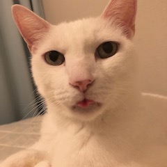 FE73C21D-9E89-401D-8AA8-007C561F3C3E