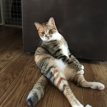 12F25CC2-907C-4F21-A81F-6C4C93D0A49C