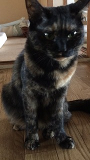 375D4DF9-FFCD-4034-80FB-D8557AEAC8A3