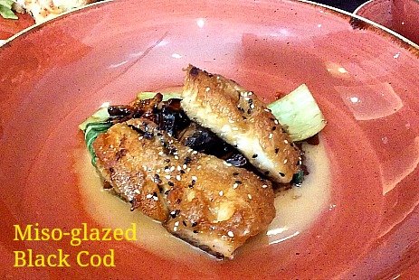 miso cod