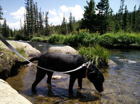 hiking2