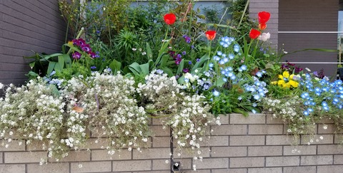 20220428_163217_resized