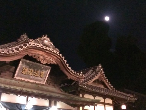 IMAG2699