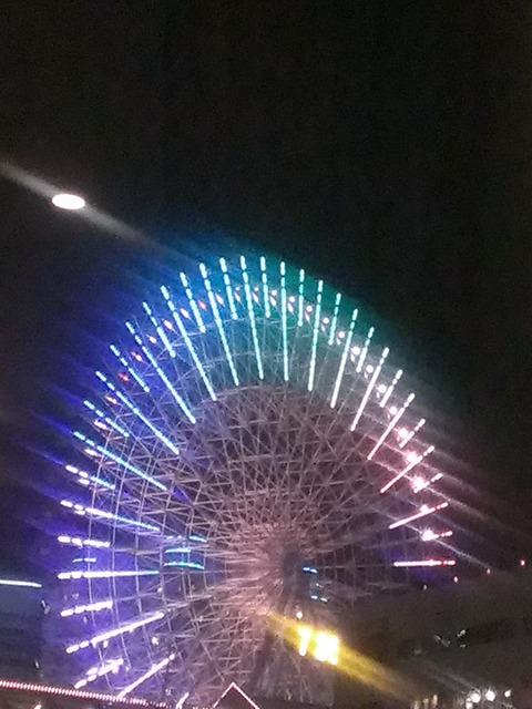 IMAG1360