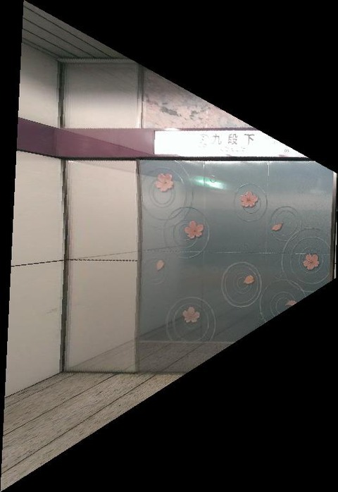 7a2eed9d-s_正面化画像