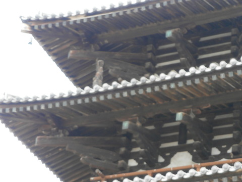 P9140152