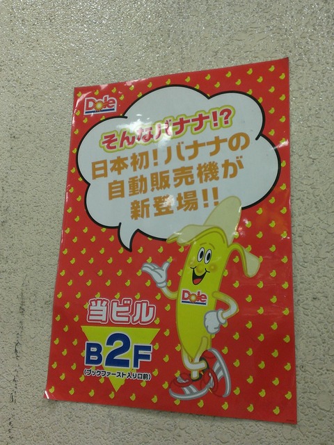 IMAG2256