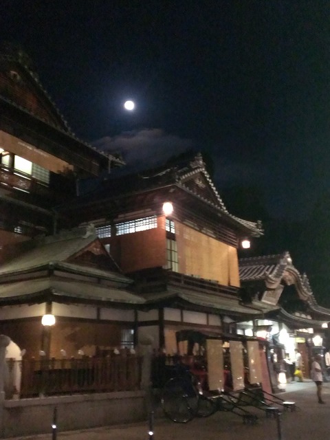 IMAG2690