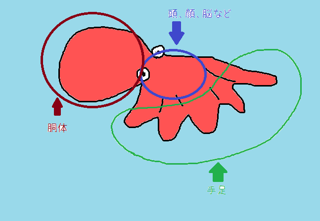 カラフル高槻のブログ : 口八丁手八丁味噌八丁