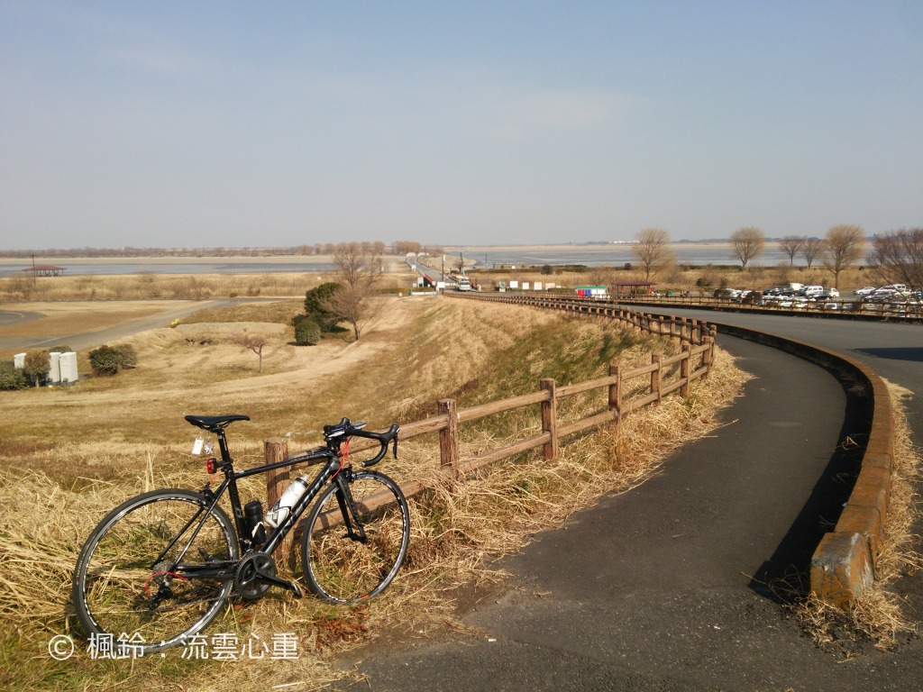 ロードバイク 渡良瀬遊水地 谷中湖 を堪能するセミロングライド 104km 流雲心重 ロードバイクと写真のブログ